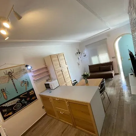 Magnifico A Pie De Playa